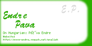 endre pava business card